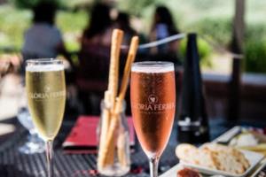 激情点燃青春，篮球演绎梦想—记庄河市中学生篮球联赛盛事庄河市中学生篮球联赛