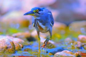 春日篮球联赛，一场充满活力与激情的运动盛宴四月打了篮球联赛