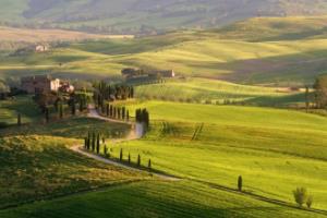 全美高中篮球联赛控卫，影响球队胜负的关键球员全美高中篮球联赛控卫是谁